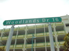 Woodlands Drive 16 #73562
